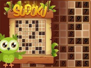 Sudoku 4 in 1 Puzzle Game