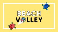 Beach Volley Online Game