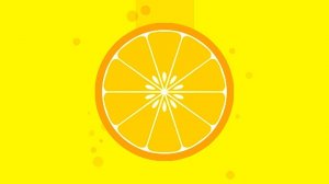 Citrus Logic Quest