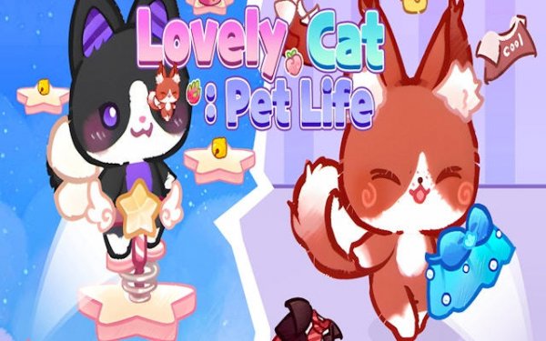 Feline Fashion & Care Adventure