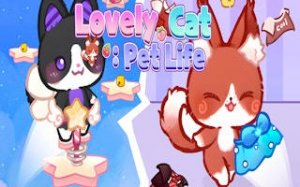 Feline Fashion & Care Adventure