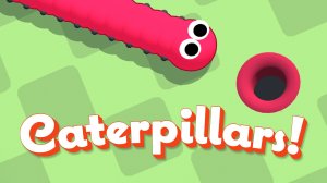 Caterpillars Puzzle Game